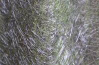 Derrykeighan fibreglass roof work