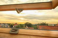 rated Derrykeighan roof window companies
